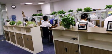 湖南企業(yè)管理咨詢行業(yè) 賦能企業(yè)成長，驅(qū)動區(qū)域經(jīng)濟新篇章
